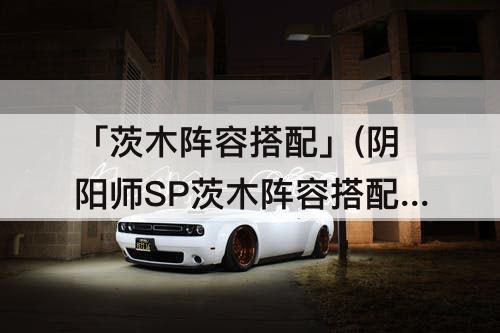 「茨木阵容搭配」(阴阳师SP茨木阵容搭配)