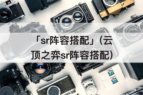 「sr阵容搭配」(云顶之弈sr阵容搭配)