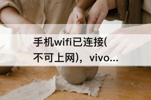 手机wifi已连接(不可上网)，vivo手机wifi已连接(不可上网)怎么解决