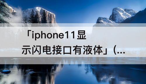 「iphone11显示闪电接口有液体」(iphone11显示闪电接口有液体关机之后又好了)