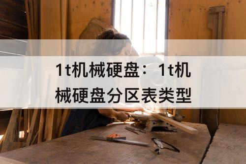 1t机械硬盘：1t机械硬盘分区表类型