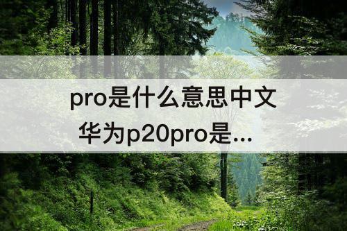 pro是什么意思中文 华为p20pro是什么意思中文
