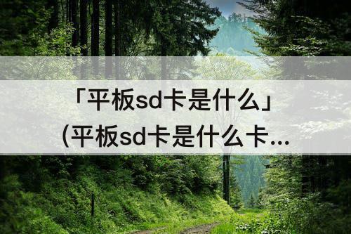 「平板sd卡是什么」(平板sd卡是什么卡)