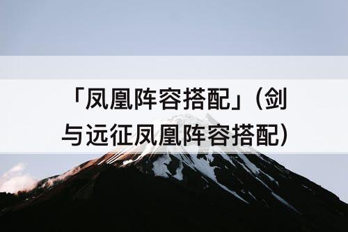 「凤凰阵容搭配」(剑与远征凤凰阵容搭配)
