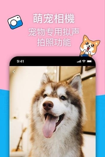 Owoh喔噢宠物  v3.2.3图3