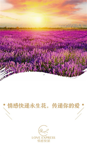 永生花  v1.3.2666图1