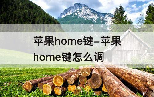 苹果home键-苹果home键怎么调