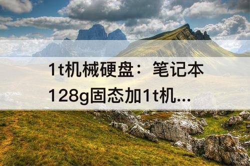1t机械硬盘：笔记本128g固态加1t机械硬盘够用吗