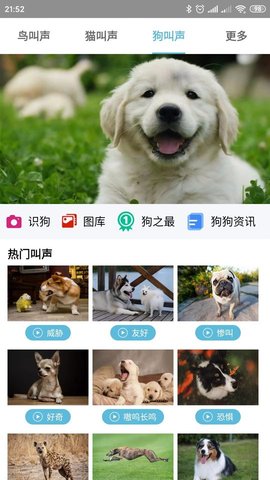 鸟叫声大全  v5.0.3图2