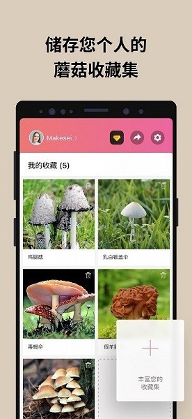 蘑菇识别扫一扫2024  v2.9.17图1