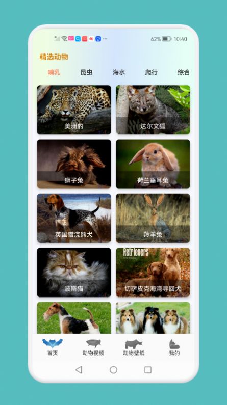 动物吧  v1.1图2