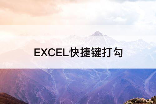 EXCEL快捷键打勾