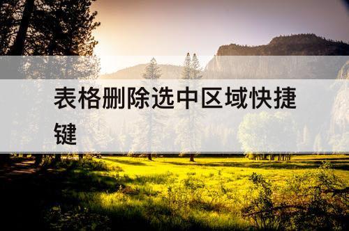 表格删除选中区域快捷键