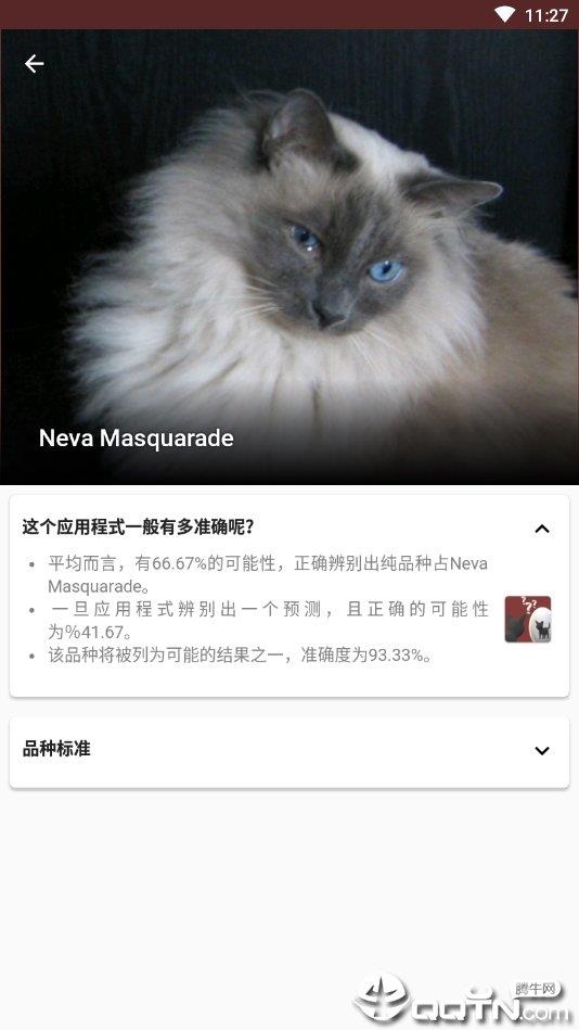 猫咪鉴定器  v4.3.2图1