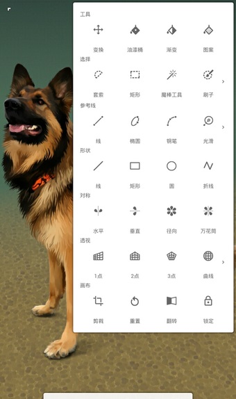 Painter软件安卓版  v6.1.5图2