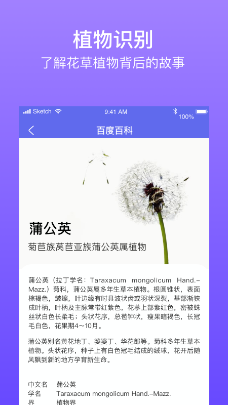 拍拍识图  v1.0.7图1