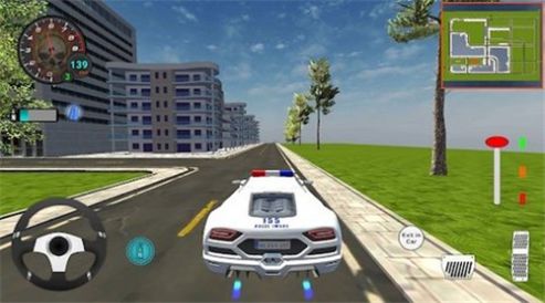 真正的豪华警车  v1.2图1