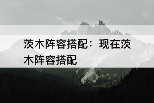 茨木阵容搭配：现在茨木阵容搭配