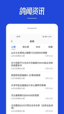 青鸽网2024  v3.6.3图1