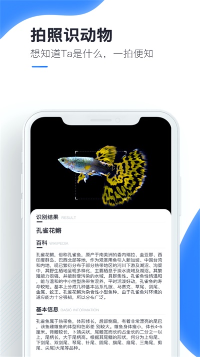 百科扫描王破解版下载安卓手机  v1.0.0图1