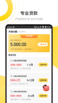 大鹅分期贷款app