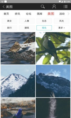 蜂鸟图库  v2.1.0图1