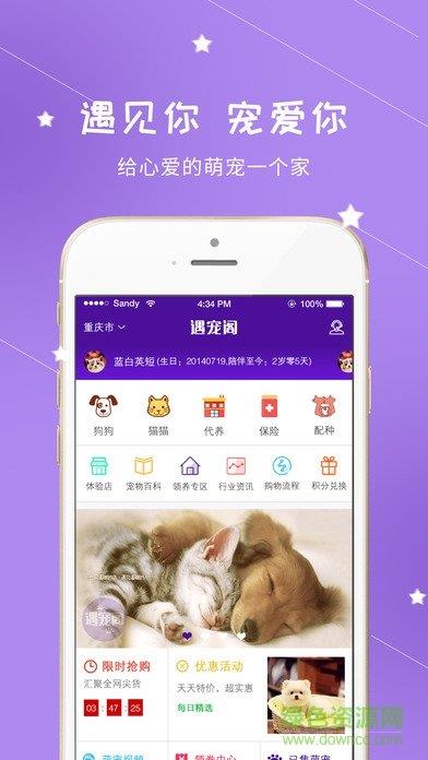 遇宠阁  v1.81图1