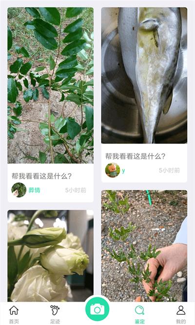 生活识物  v15.5图2