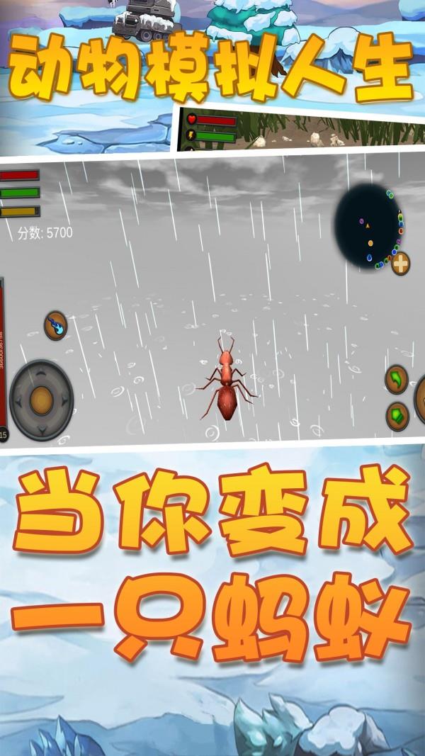 动物模拟人生  v1.0图2