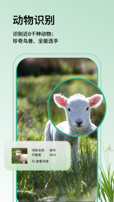 万物识图app下载苹果版  v1.0.0图2