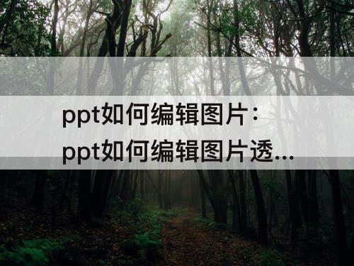 ppt如何编辑图片：ppt如何编辑图片透明度