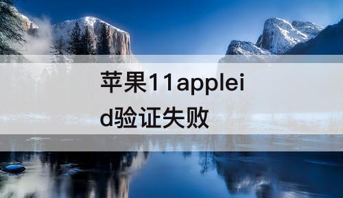 苹果11appleid验证失败