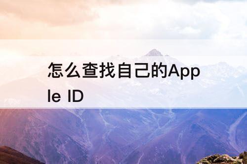 怎么查找自己的Apple ID