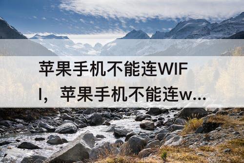 苹果手机不能连WIFI，苹果手机不能连wifi能修吗