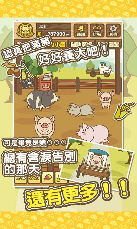 养猪场mix传承级猪种灰色好像只在夜晚现身  v8.2图2