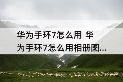 华为手环7怎么用 华为手环7怎么用相册图片