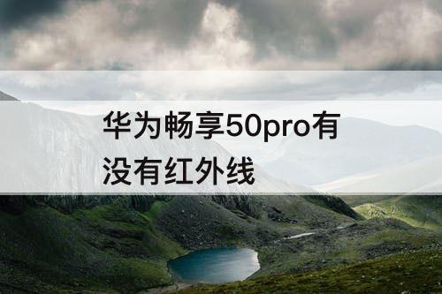 华为畅享50pro有没有红外线