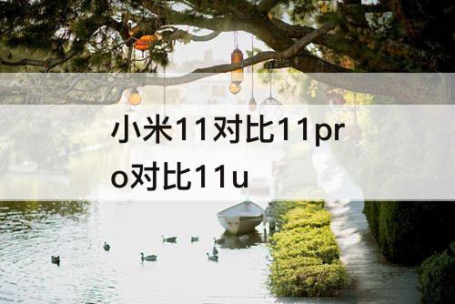 小米11对比11pro对比11u