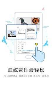 爱鸽者  v1.0图3