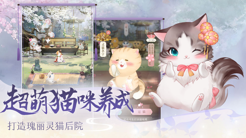 灵猫传官方版下载  v1.1.96图2