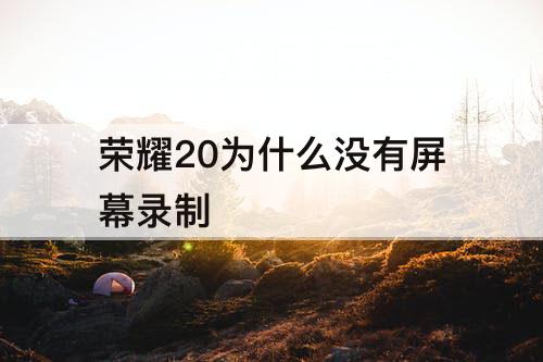 荣耀20为什么没有屏幕录制